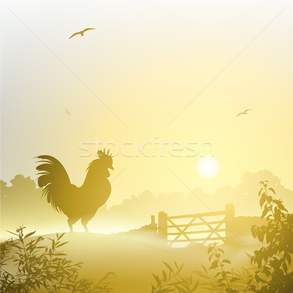 Cockerel, Rooster Stock photo © Binkski