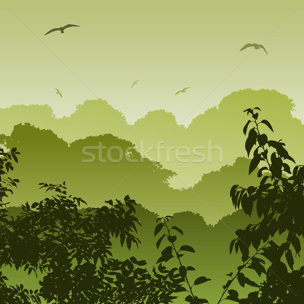 Erdő tájkép zöld fák háttér sziluett Stock fotó © Binkski