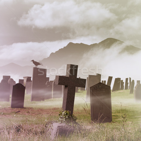 Mistig kerkhof begraafplaats dode kraai raaf Stockfoto © Binkski