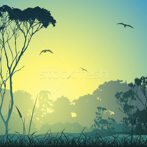 Legelő tájkép vidék fák madarak napfelkelte Stock fotó © Binkski