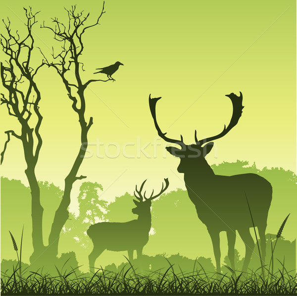 Male Stag Deer Stock photo © Binkski