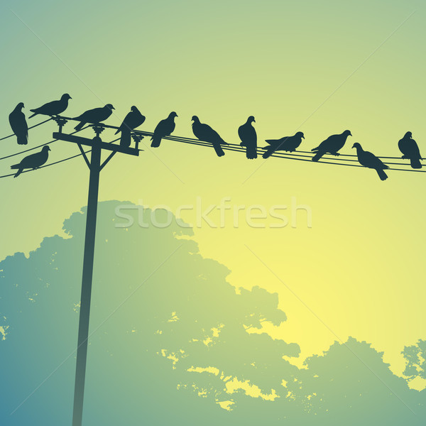 Birds on a Lines Stock photo © Binkski