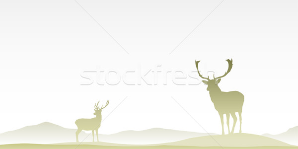 Two Male Stag Deers Stock photo © Binkski