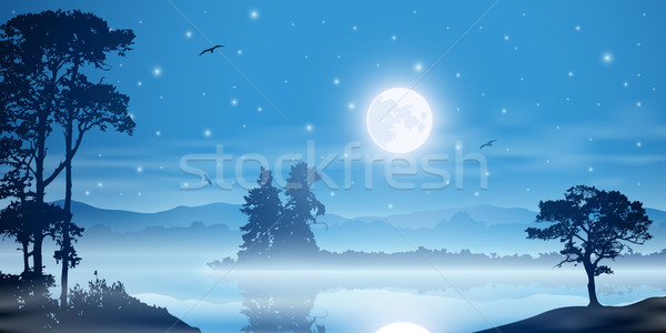 Nebligen Fluss Landschaft Mond Sternen Bäume Stock foto © Binkski
