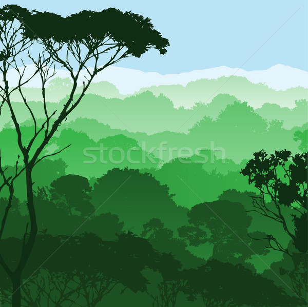 Stockfoto: Bos · landschap · groene · bomen · achtergrond · silhouet