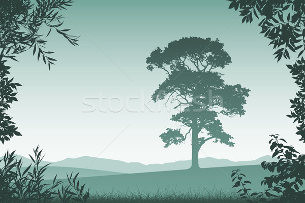 Landscape with Lone Tree Stock photo © Binkski