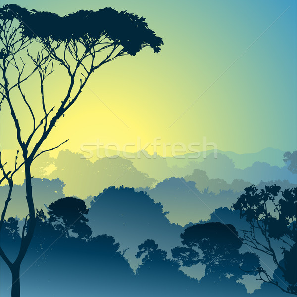 Bos landschap bomen achtergrond silhouet jungle Stockfoto © Binkski