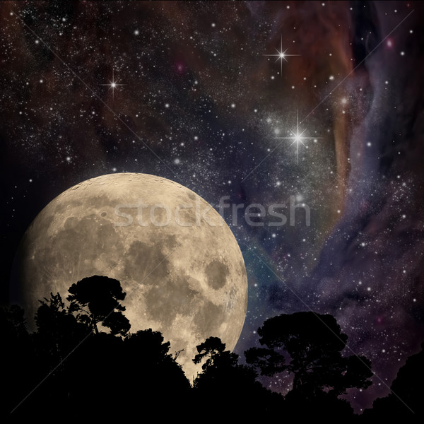 Hold éjszakai ég fák tájkép Stock fotó © Binkski