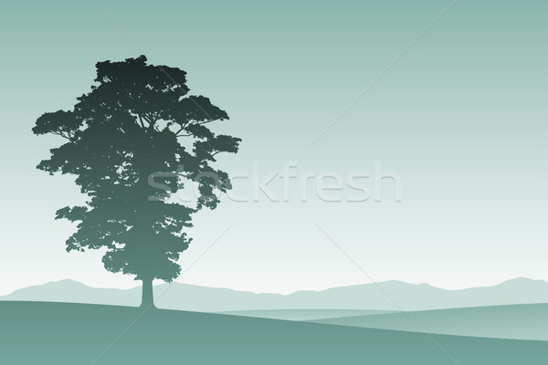 Egyedüli fa sziluett legelő tájkép természet Stock fotó © Binkski