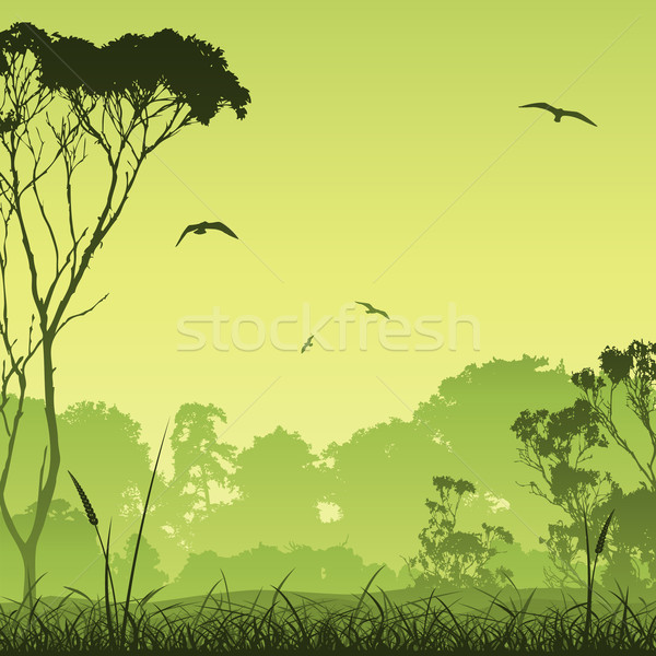 Legelő tájkép vidék fák madarak háttér Stock fotó © Binkski