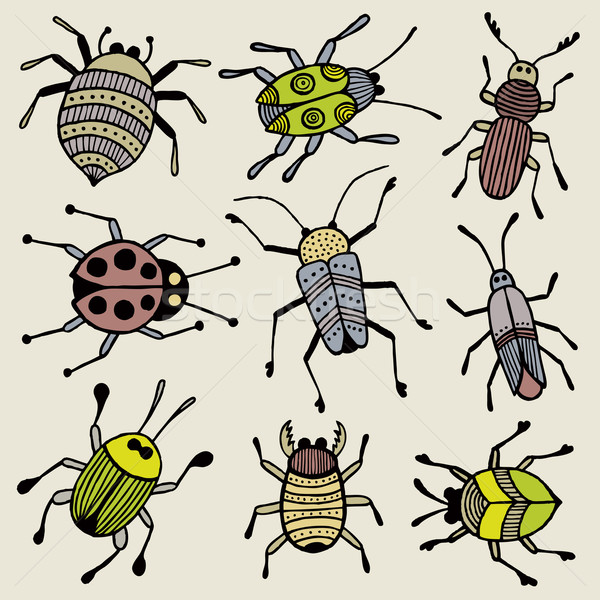 塗鴉 插圖 手工繪製 黑色 墨 螞蟻 商業照片 © Bisams