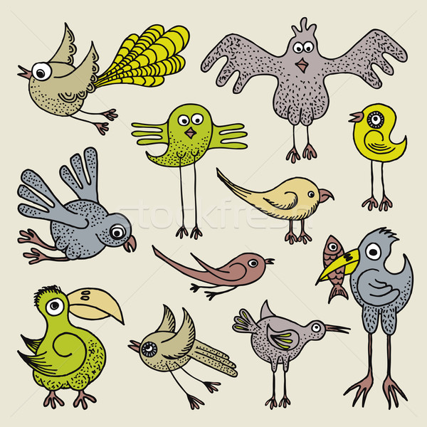 Doodle uccelli illustrazione divertente set Foto d'archivio © Bisams