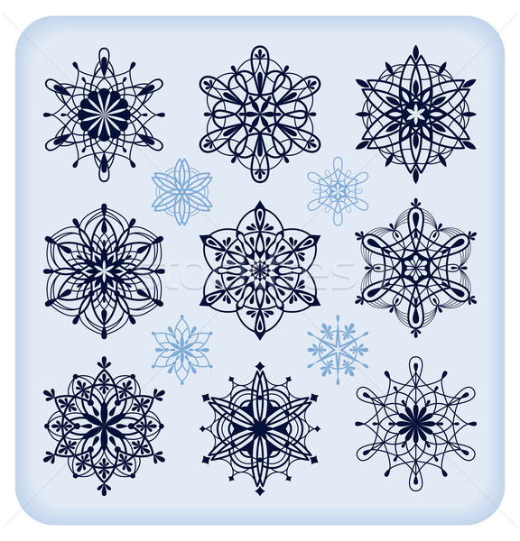 Schneeflocken Set dreizehn unterschiedlich dekorativ detaillierte Stock foto © Bisams