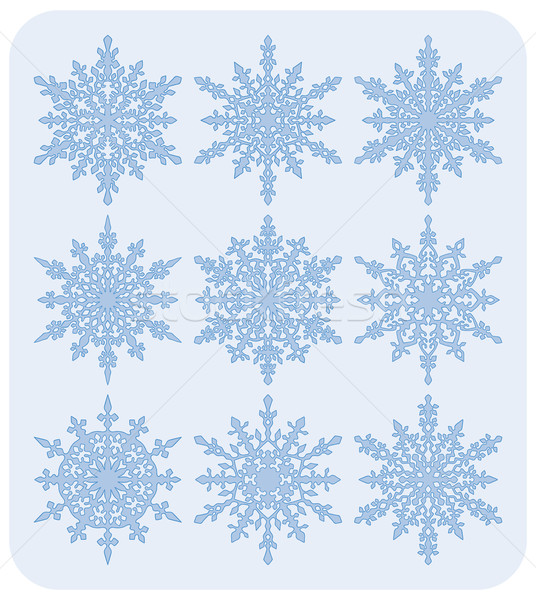 Set Schneeflocken neun unterschiedlich sehr detaillierte Stock foto © Bisams