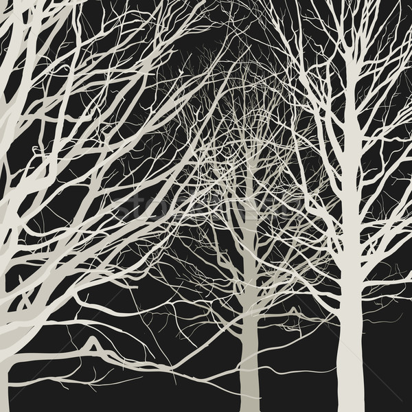 Bomen zwarte bos voorjaar hout ontwerp Stockfoto © biv