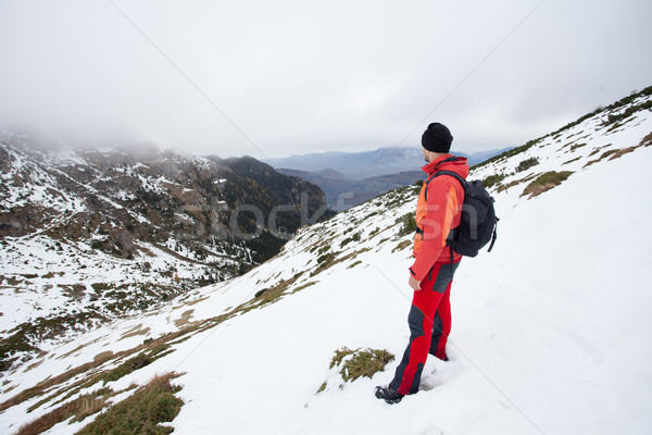 Mann top Berge jetzt schönen Schweigen Stock foto © blanaru