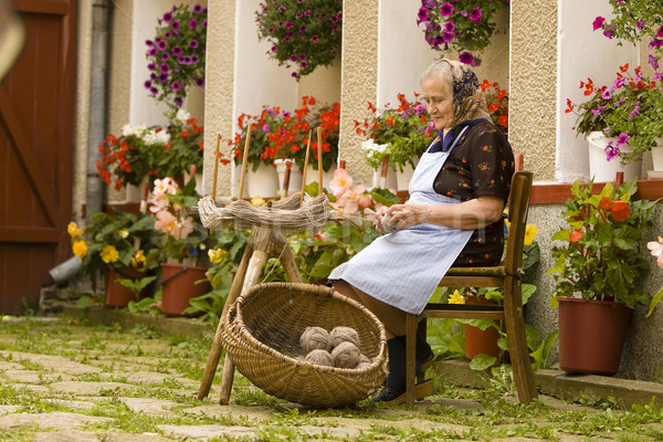 Portret roemeense oude vrouw Stockfoto © blanaru