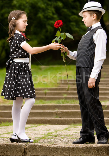 Stock photo: The Rose