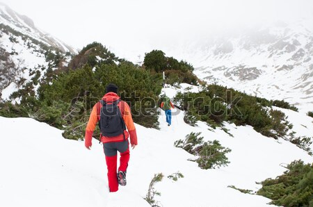 Stock foto: Mann · top · Berge · junger · Mann · Gefühl · kalten