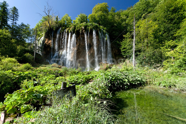 Big Waterfall Stock photo © blanaru