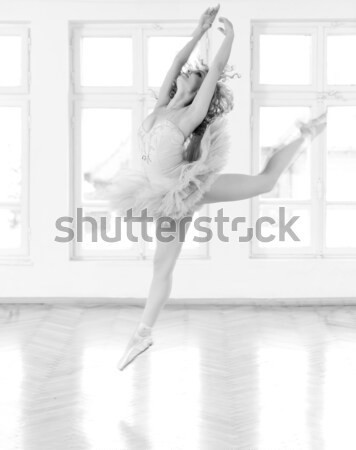 Schatten Reinheit jungen Ballerina schönen Mädchen Stock foto © blanaru