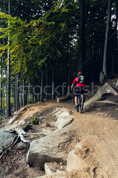 Foto d'archivio: Montagna · equitazione · ciclismo · autunno · foresta