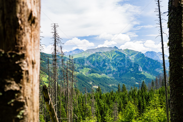 Stock fotó: ösztönző · hegyek · tájkép · kilátás · napos · idő · nyár