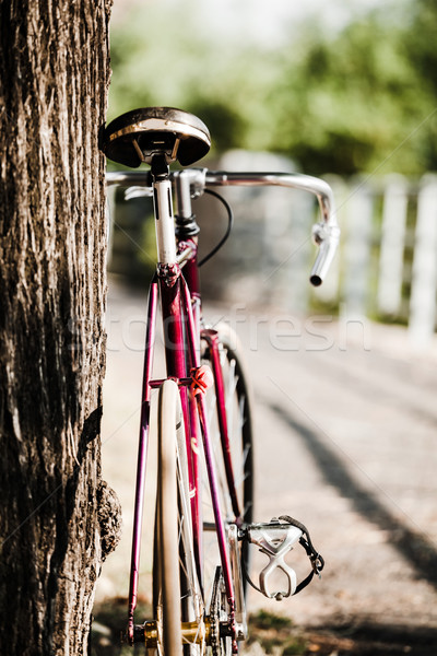 Carretera bicicleta calle de la ciudad verde parque árboles Foto stock © blasbike