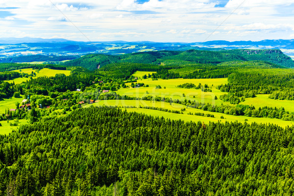 Summer landscape green forest and mountains Stock photo © blasbike