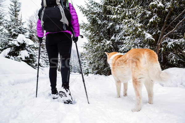 Backpacker wandelen lopen winter bos hond Stockfoto © blasbike