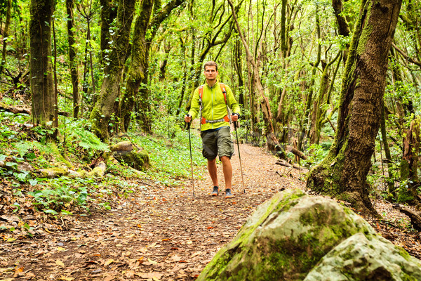Hiker walking trekking in green forest Stock photo © blasbike