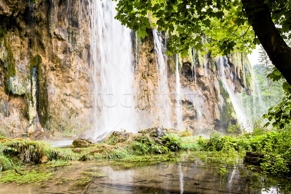 Waterfall in forest. Plitvice Lakes landscape in Croatia Stock photo © blasbike