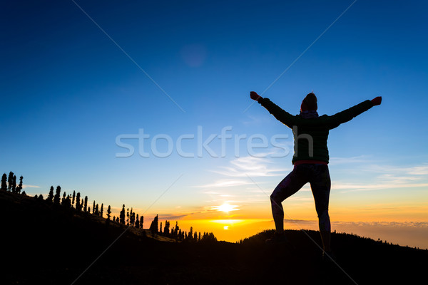 Mulher andarilho brasão desfrutar montanhas silhueta Foto stock © blasbike