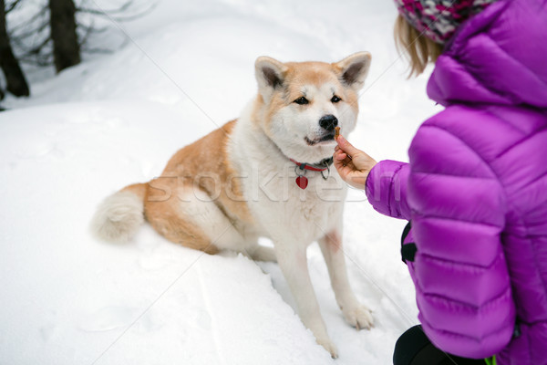 Foto stock: Mulher · cão · inverno · caminhadas · trio