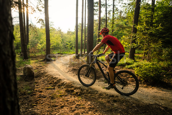 Mountain biker riding cycling in summer forest Stock photo © blasbike