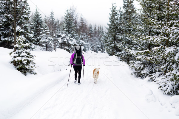 Stockfoto: Gelukkig · vrouw · lopen · winter · bos · hond