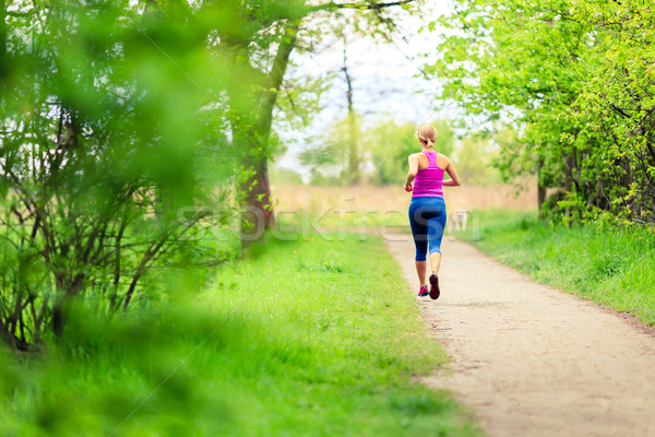 Kadın koşucu çalışma jogging yaz park Stok fotoğraf © blasbike