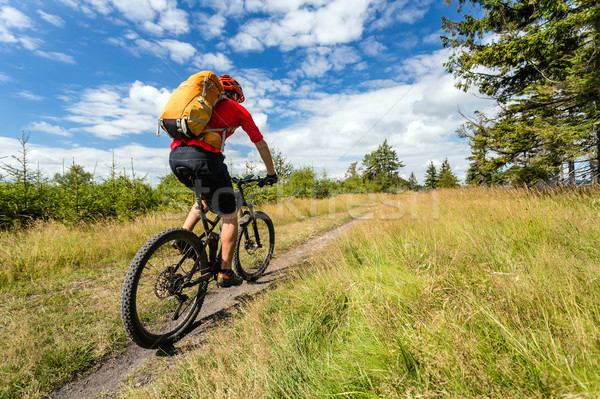 Mountain biker cycling riding in woods and mountains Stock photo © blasbike