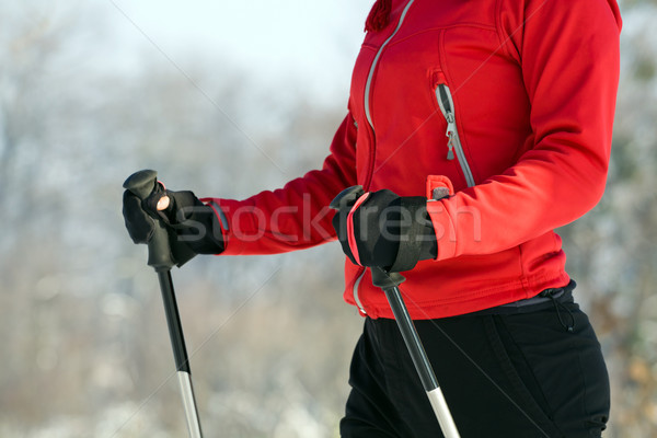 Woman nordic walking in winter Stock photo © blasbike