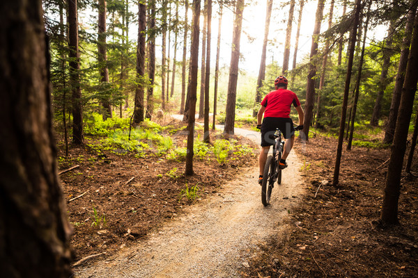 Mountain biker riding cycling in summer forest Stock photo © blasbike