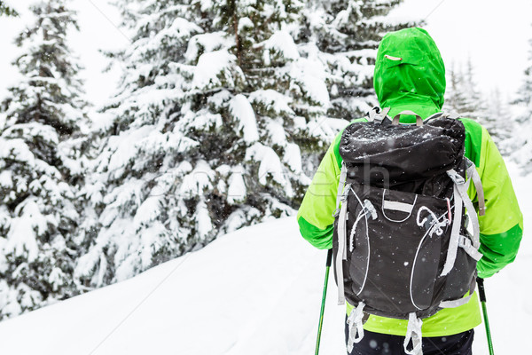 [[stock_photo]]: Hiver · randonnée · blanche · bois · homme · randonnée