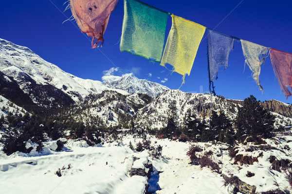 Montanha inspirado paisagem alcance Nepal himalaia Foto stock © blasbike