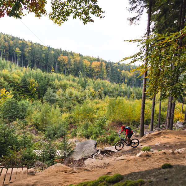 Mountain biker riding cycling in autumn forest Stock photo © blasbike