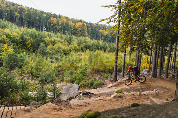 Mountain biker riding cycling in autumn forest Stock photo © blasbike