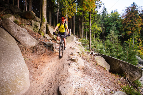 Stock photo: Mountain biker riding cycling in autumn forest