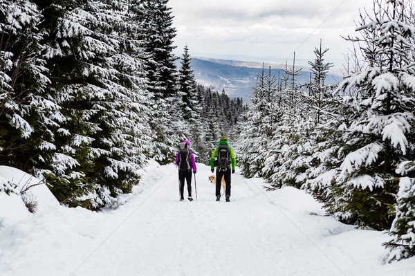 [[stock_photo]]: Couple · randonneurs · trekking · hiver · bois · homme
