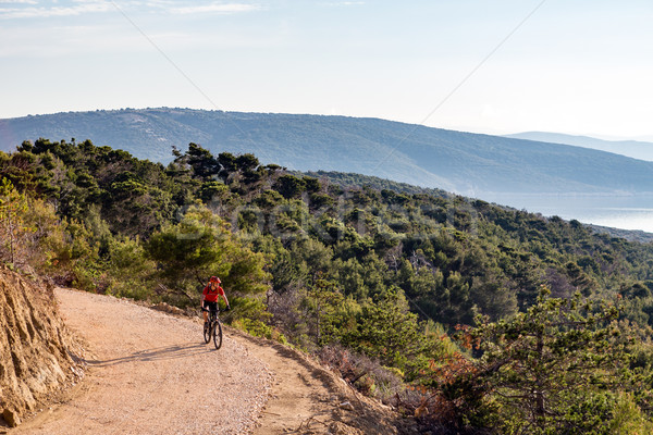 Mountain biker riding on bike in summer sunset woods Stock photo © blasbike