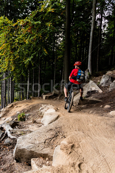 Mountain biker riding cycling in autumn forest Stock photo © blasbike