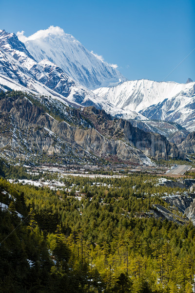 Inspiráló tájkép Himalája hegyek Nepál terjedelem Stock fotó © blasbike