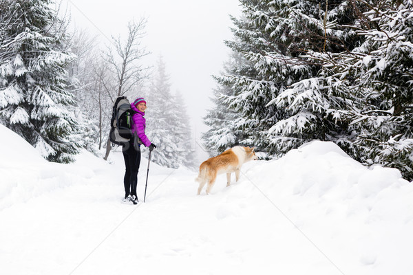 Happy woman walking in winter forest with dog Stock photo © blasbike